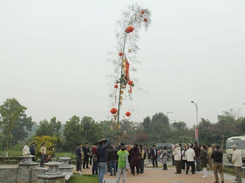 Cây nêu ngày Tết được làm từ cây tre già cao nhất, phần ngọn còn nguyên lá