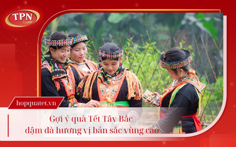 qua-tet-tay-bac-thumbnail