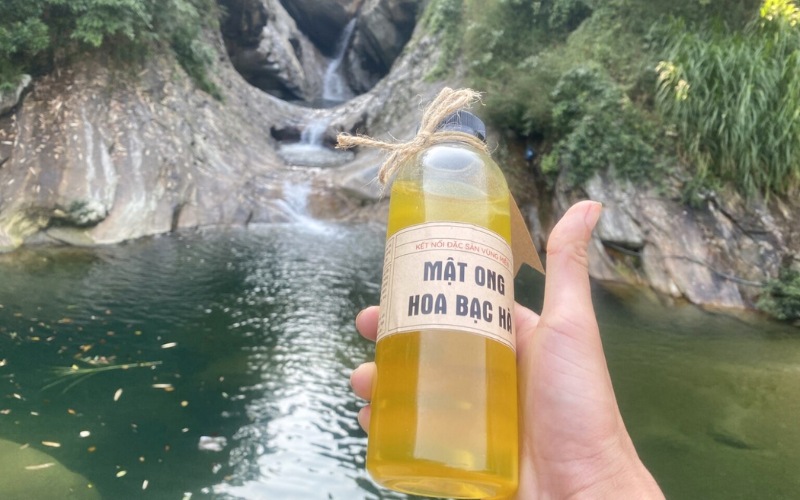 dac-san-lam-qua-tet-mat-ong-hoa-bac-ha