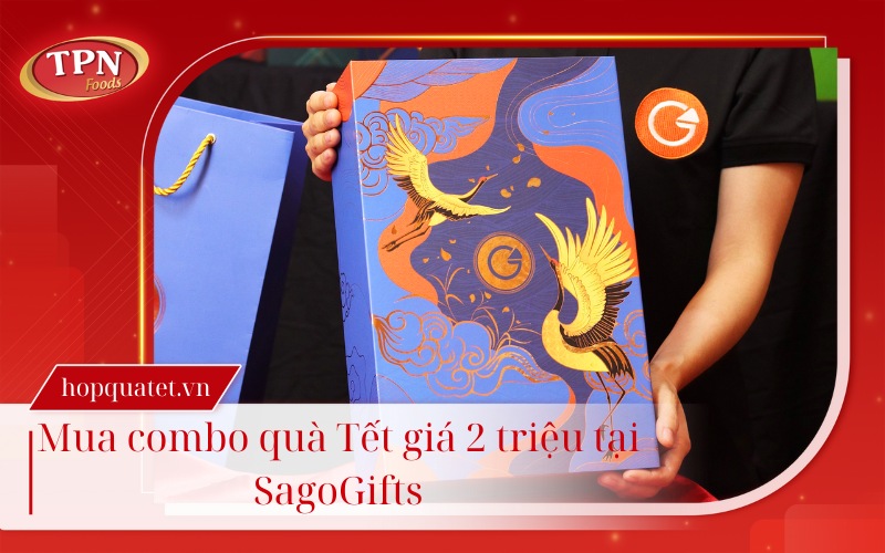 Mua-gio-qua-Tet-o-dau-TPHCM-o-dau