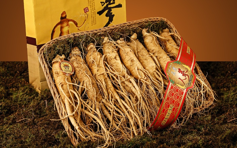 qua-bieu-tet-cho-nguoi-gia-nhan-sam